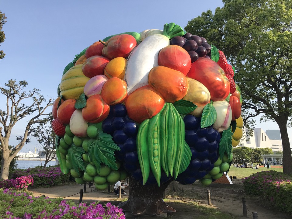360度見渡したFruit Tree像。