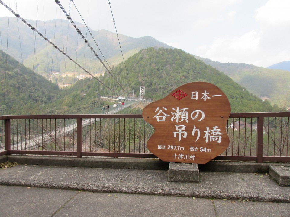 うーむ、高い