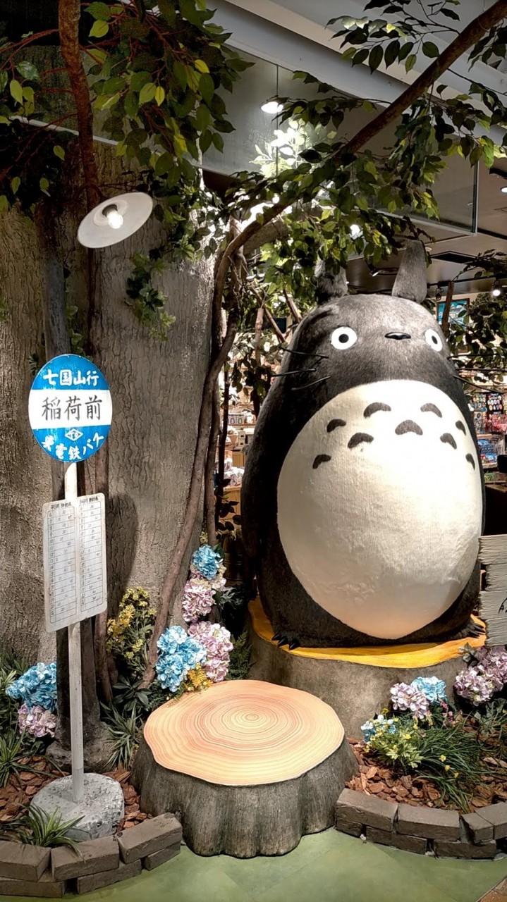どんぐり共和国