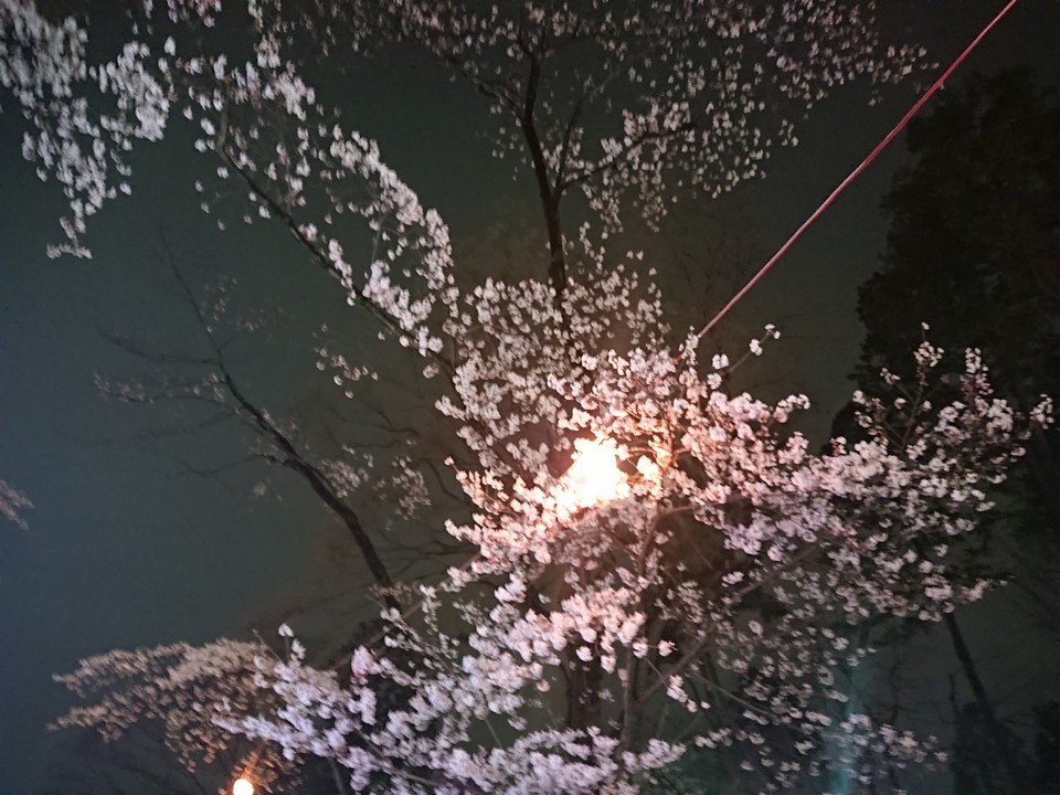 少し寂しい印象