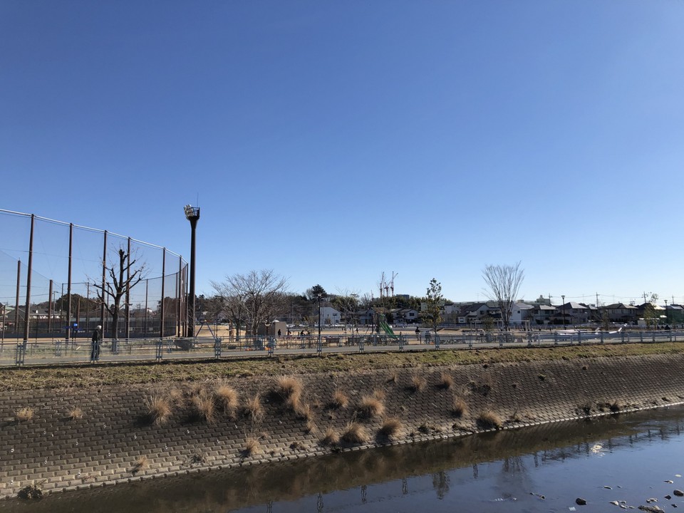 境川の対岸から