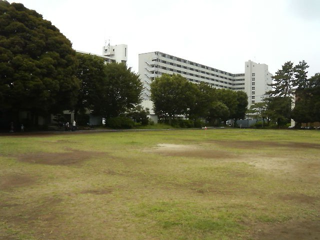 団地に囲まれた場所にある普通に広い公園です。