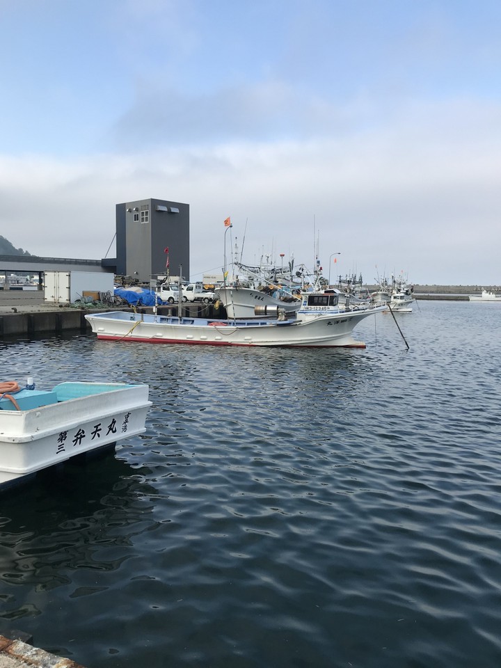 近くの漁港