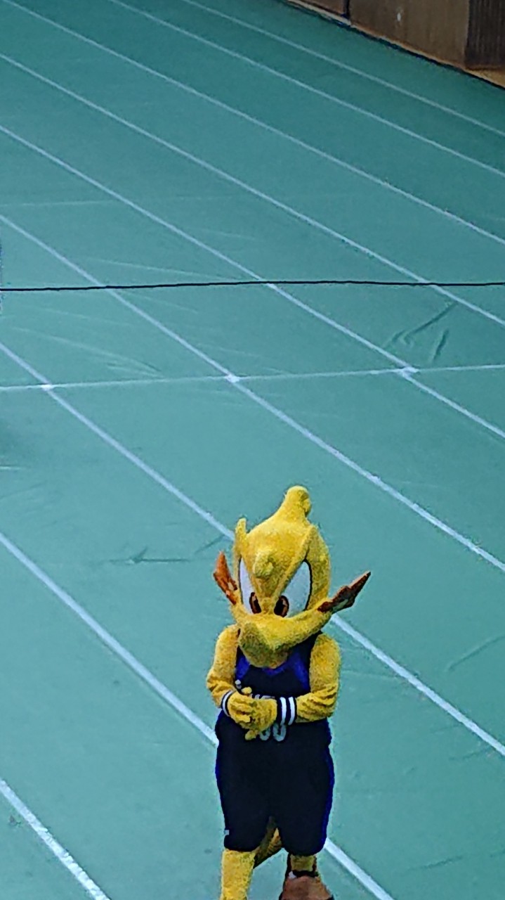 シーホース君