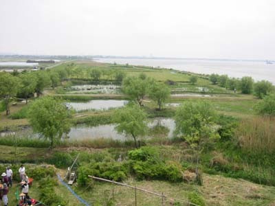 水郷トンボ公園の風景