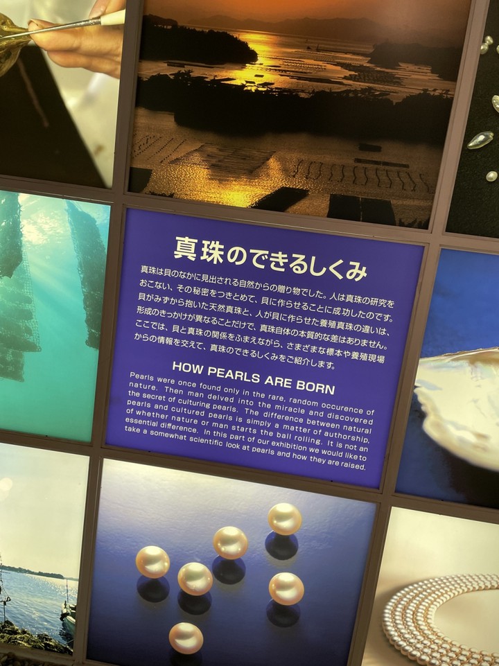 真珠のしくみ