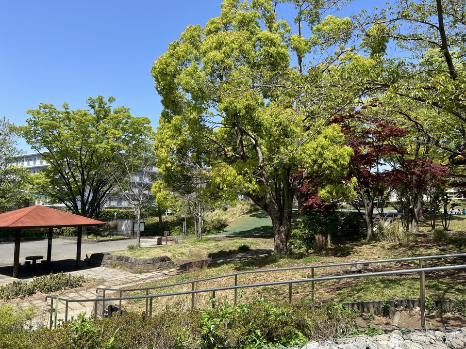 公園内の丘の上から