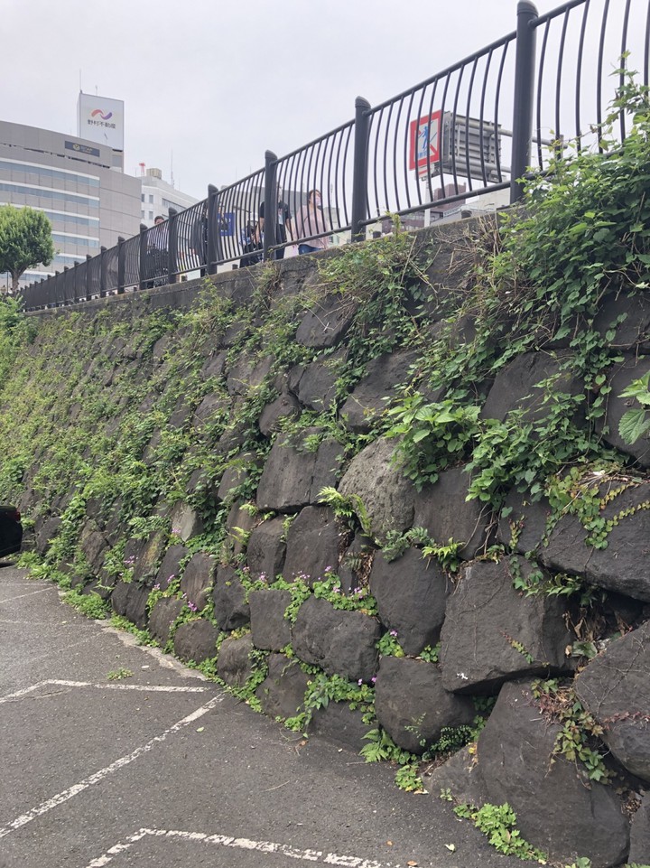 釣り堀駐車場の石垣は本物ではなさそう
