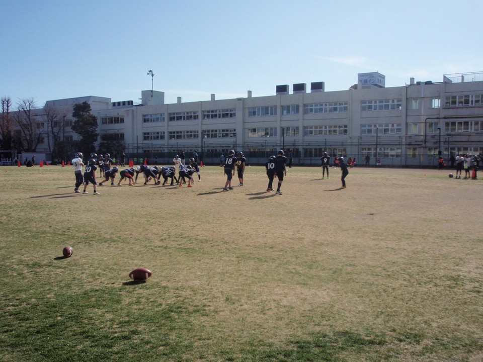 町田シバヒロ