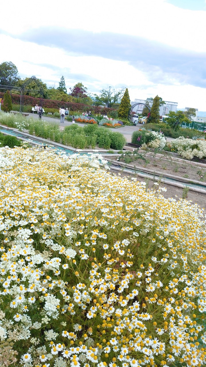 ハーブ園