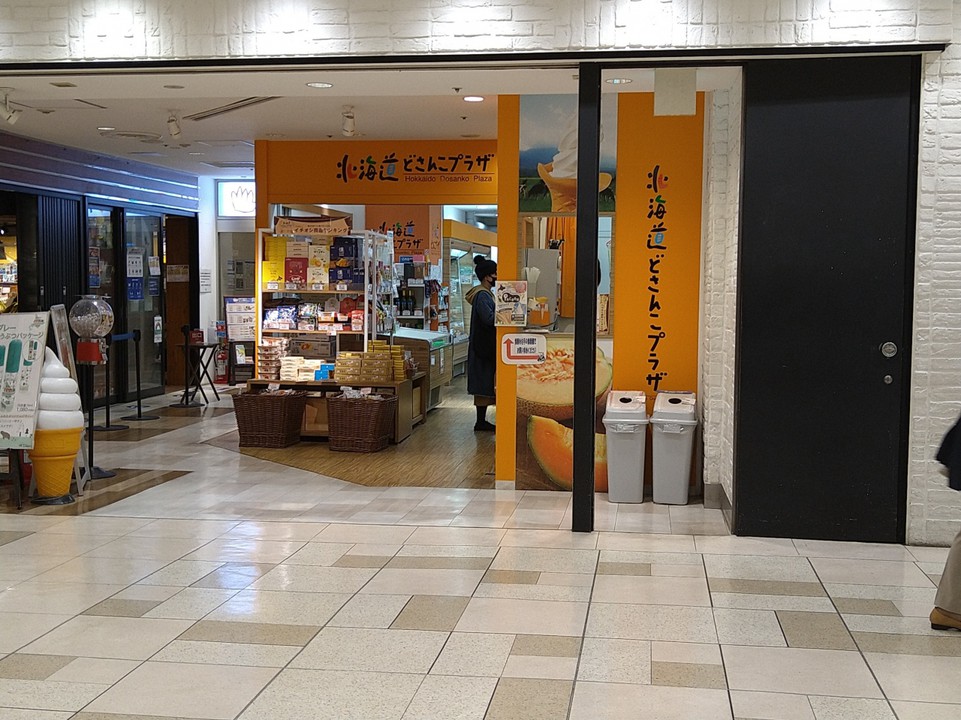どさんこプラザ