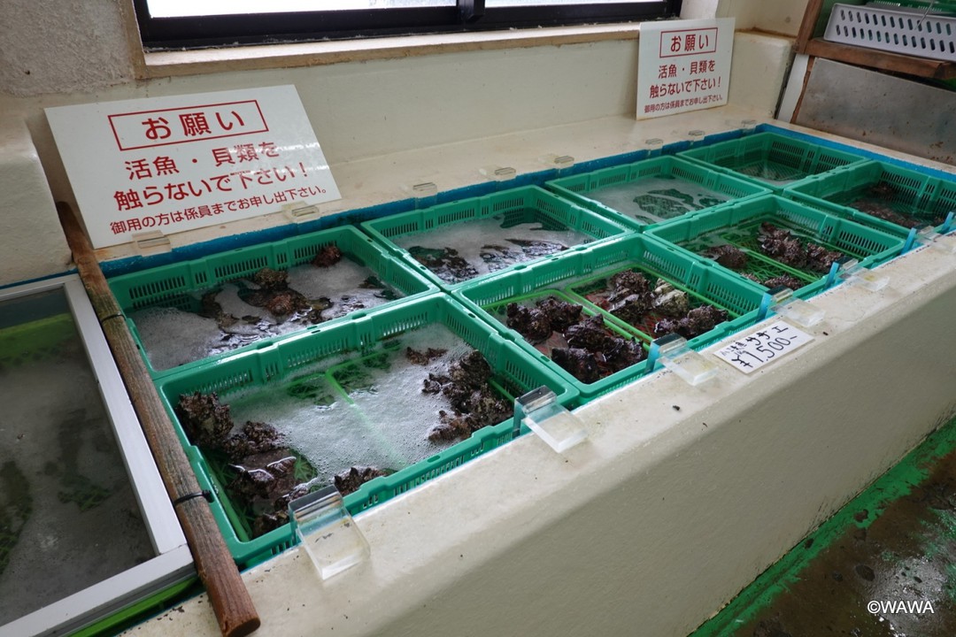活き活き小湊ウオポート の店内