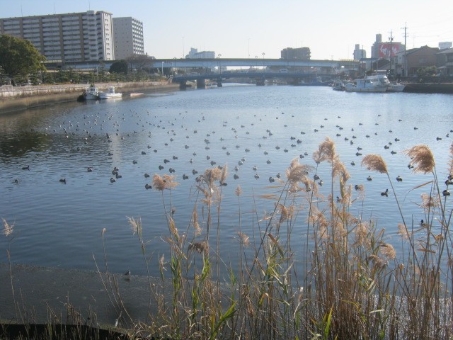 名古屋都心の至近とは思えないのどかさが広がっています