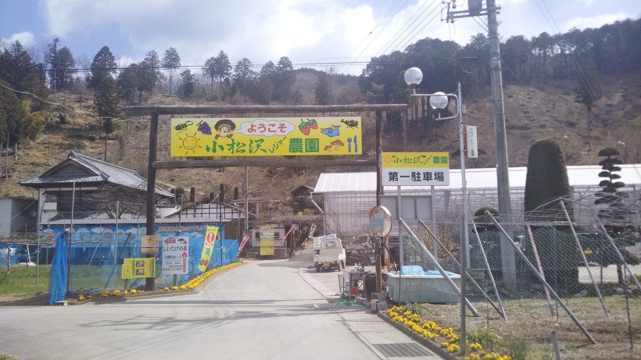 入口