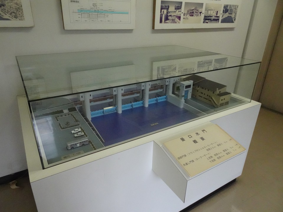 模型展示