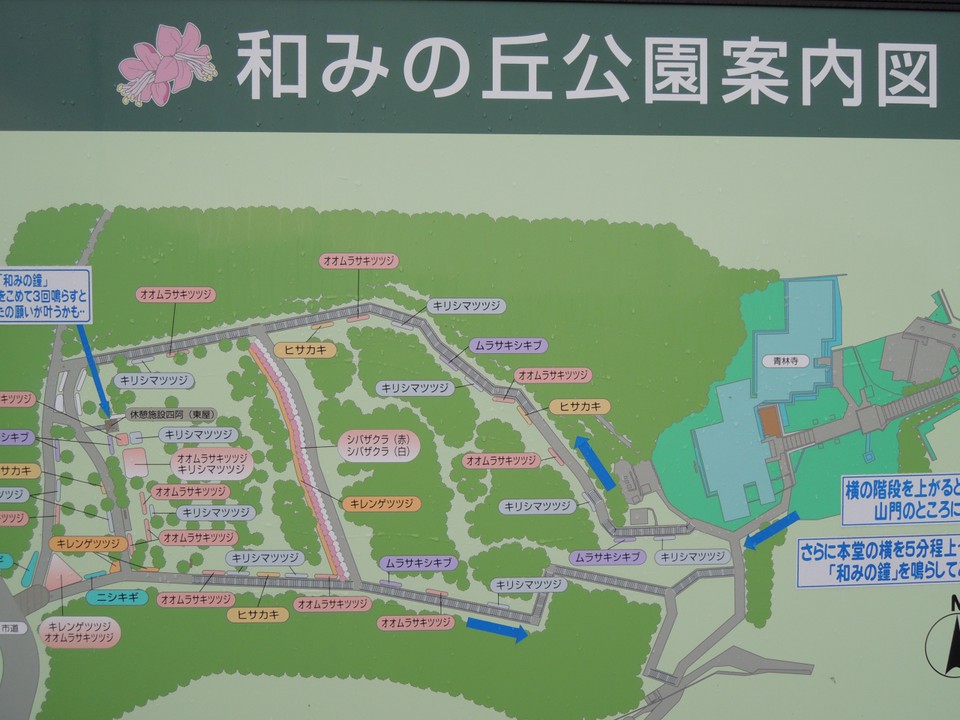 公園内の案内図