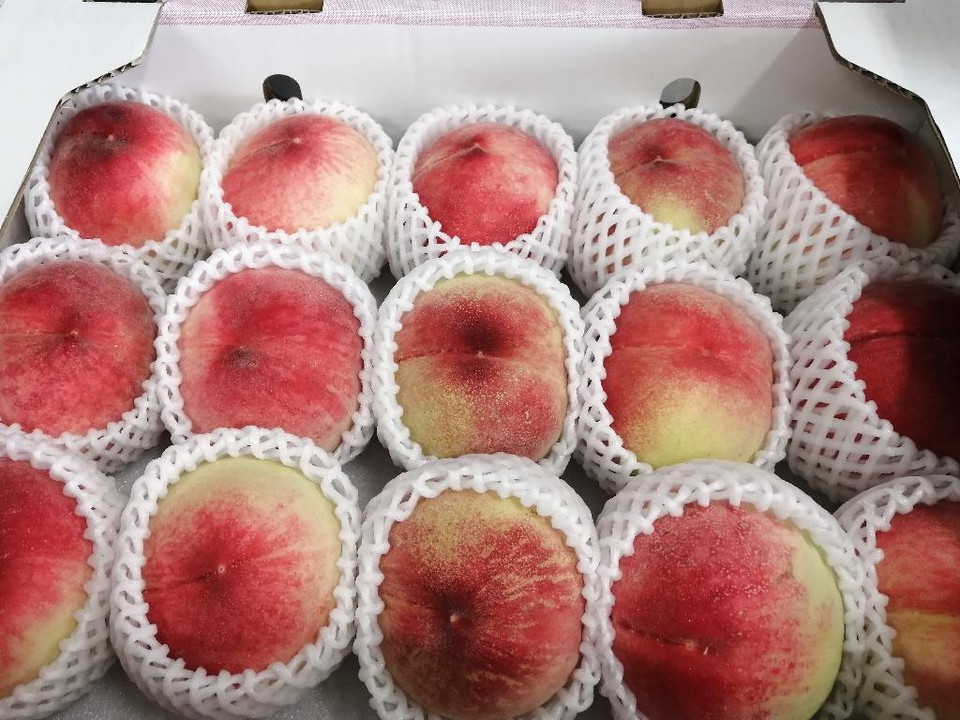 夏の時期には、高級な桃を買いにくることもあります。