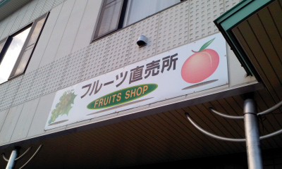 新鮮な物がありました