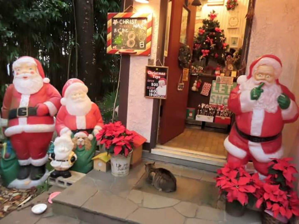 可愛いお店