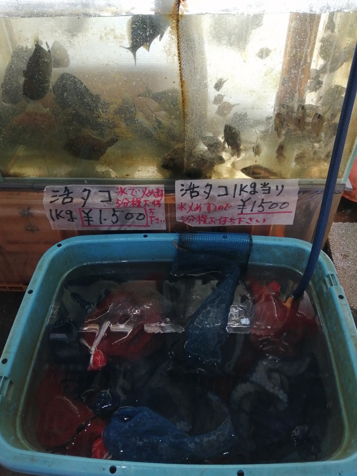 タコ