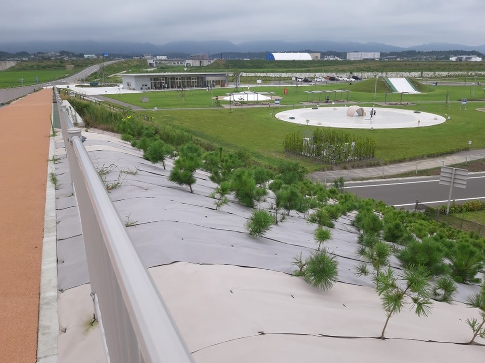 堤防や浜辺に出る空中歩道から見た公園の一画。