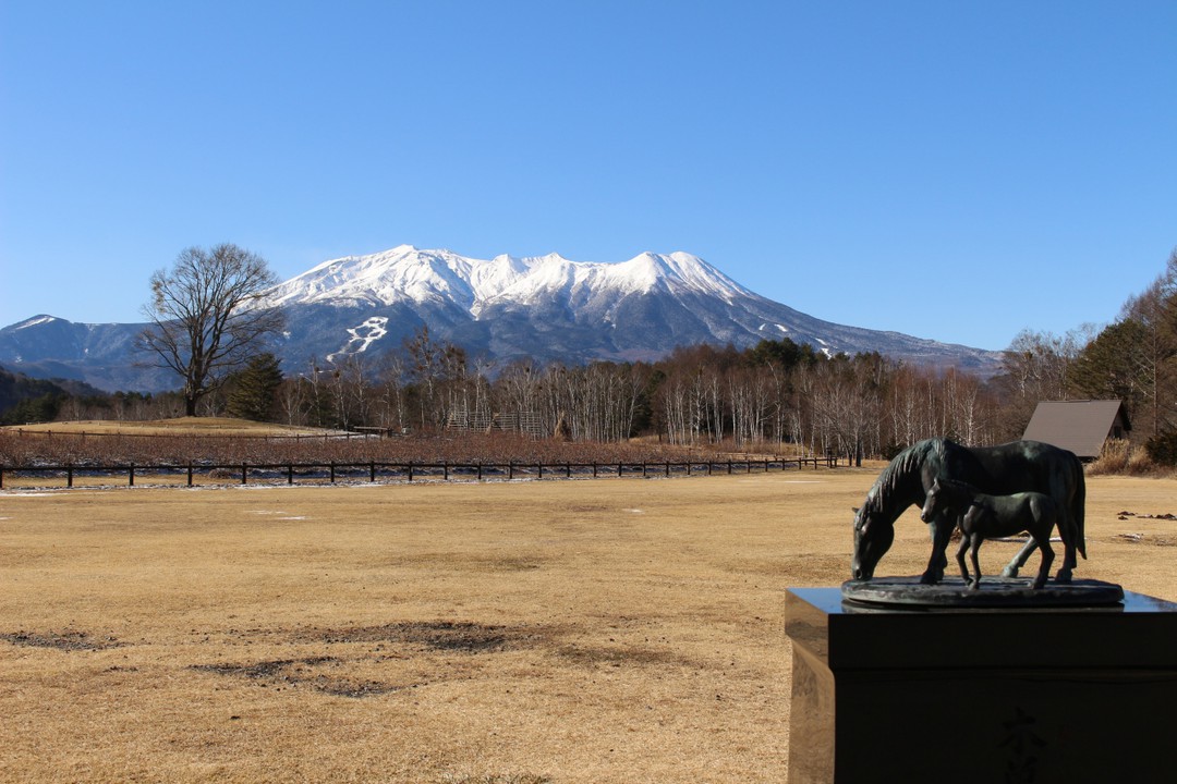 手前の馬の彫刻は、実際は小さいです。