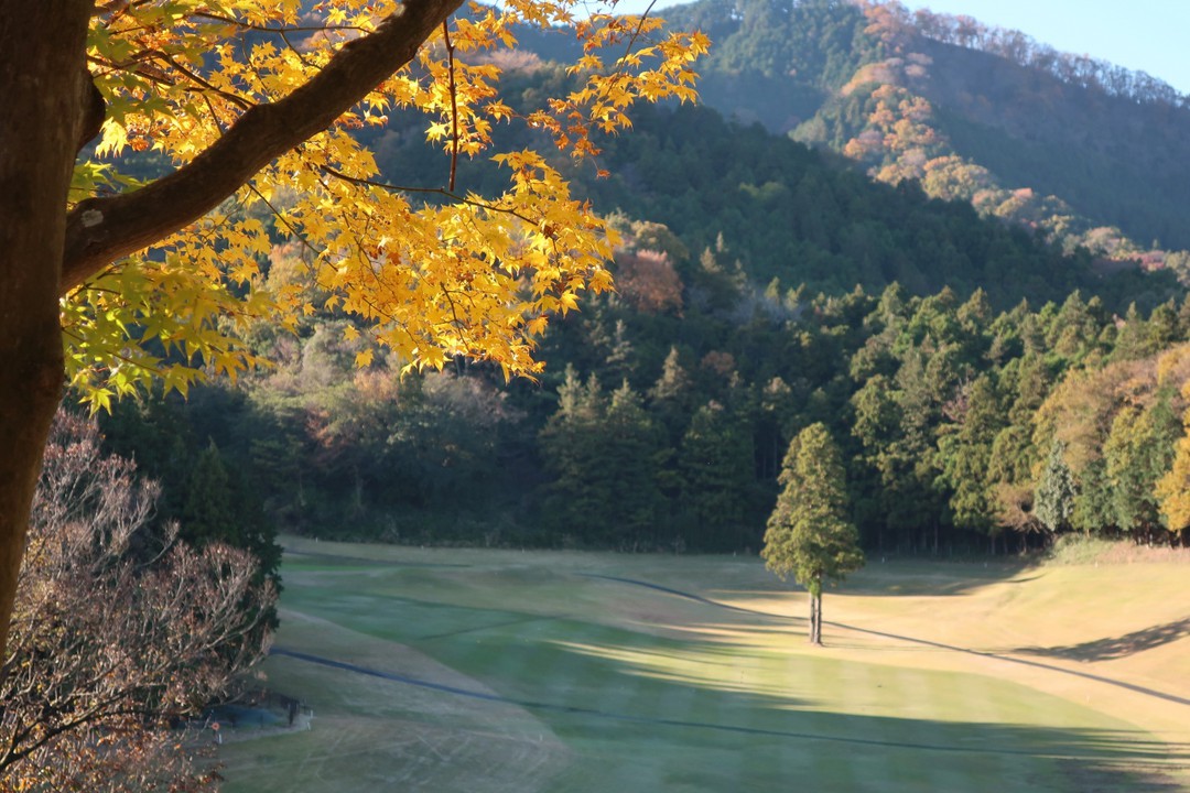 本コース、　付近の山々がコースを囲んでる