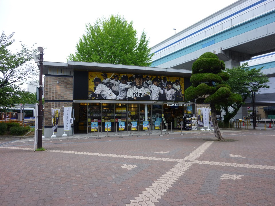 お店も阪神カラー一色