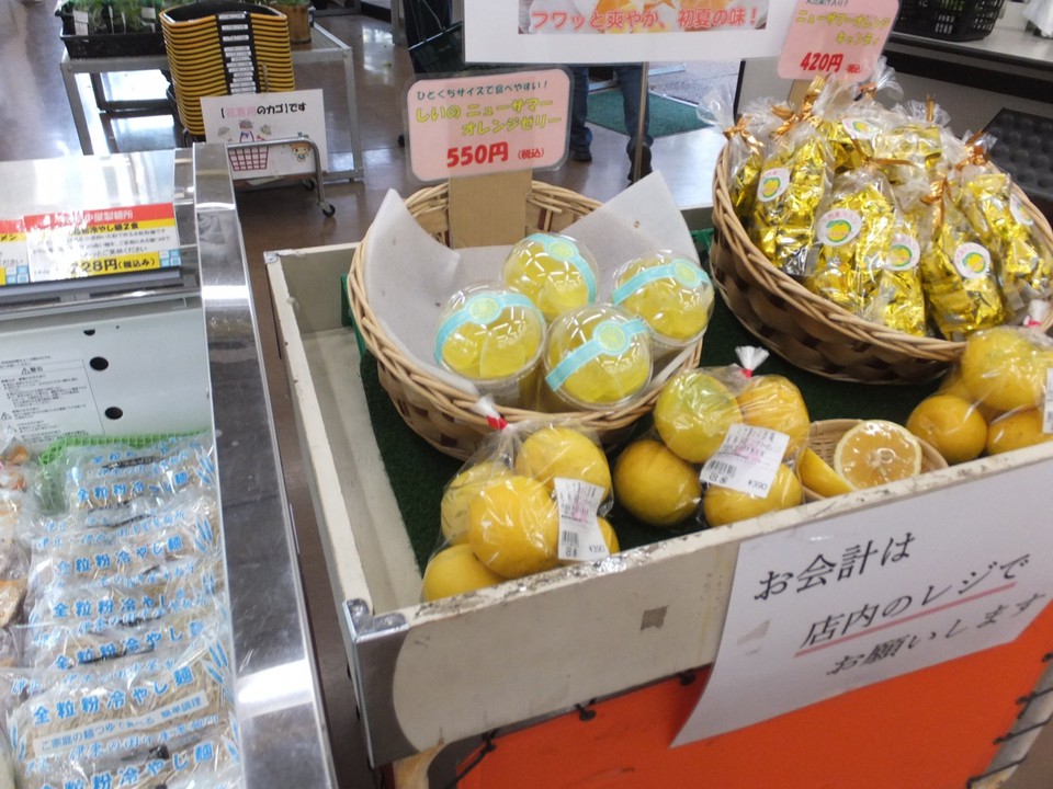 伊豆らしい