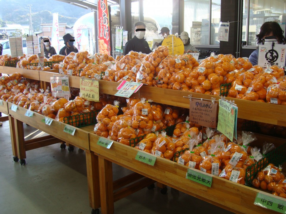 店頭に並ぶ有田みかん