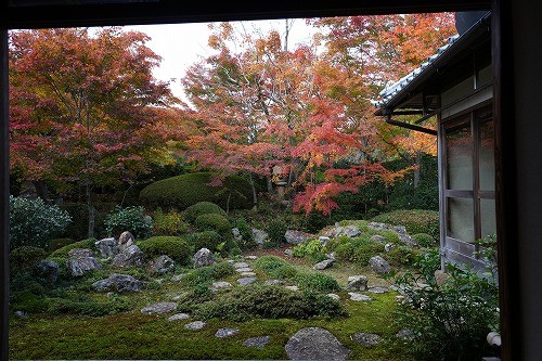 庭の紅葉がかなり進んでいます