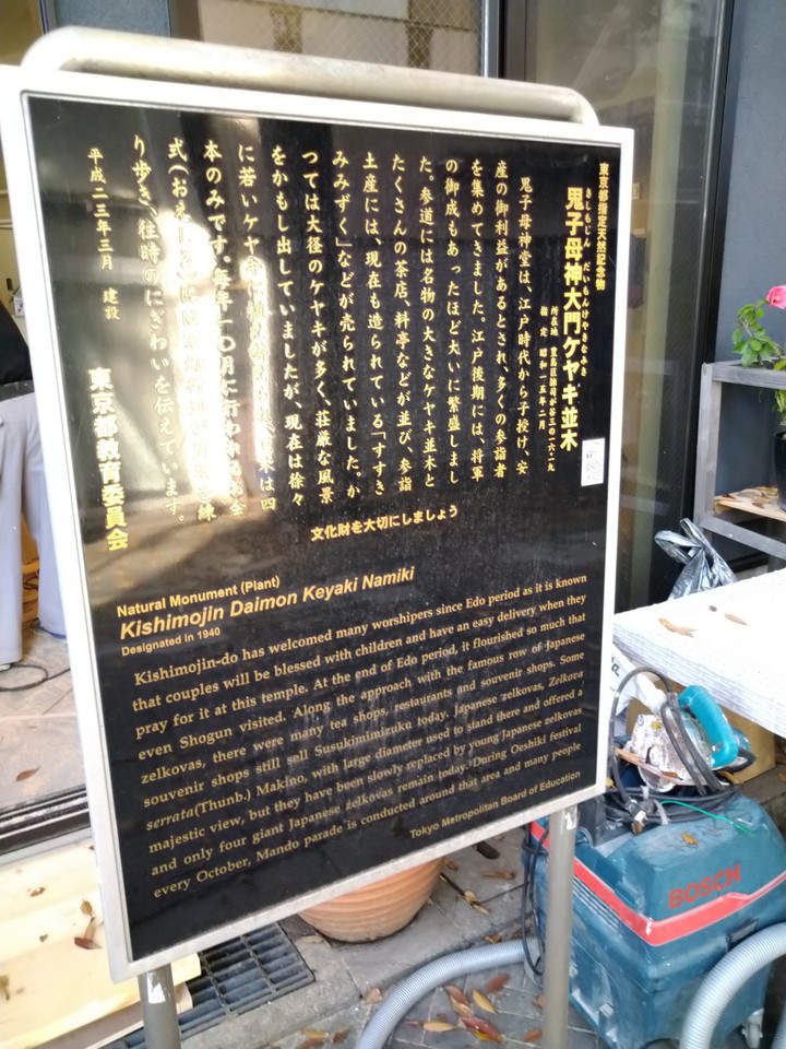 鬼子母神大門のケヤキ並木（案内板）
