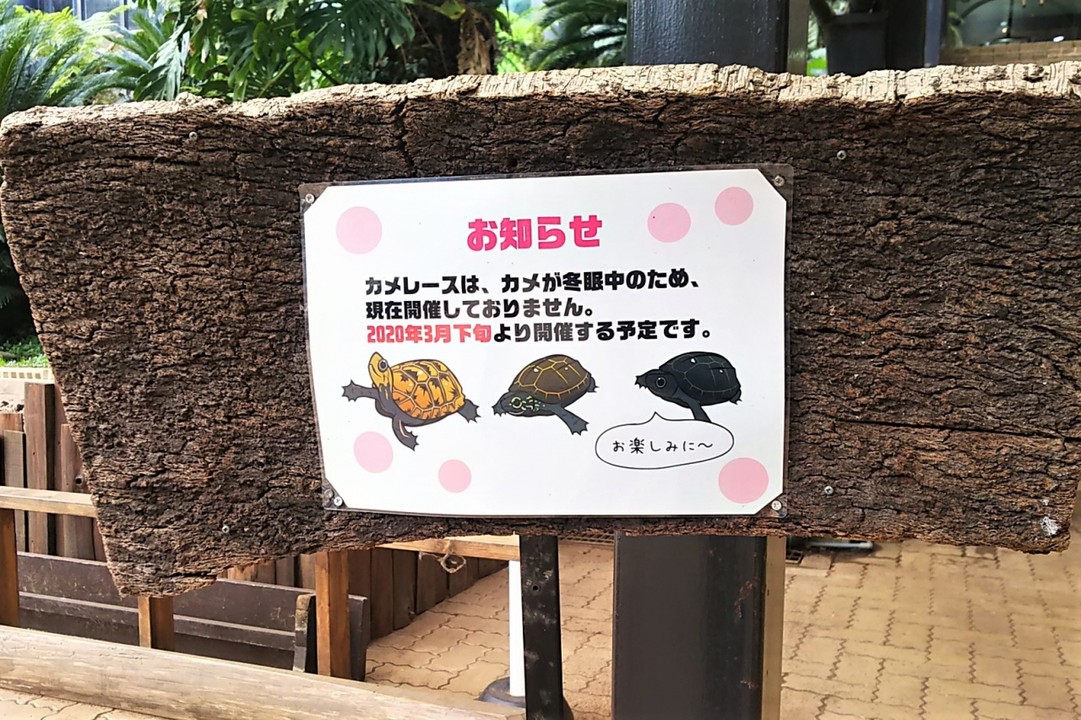イズー 