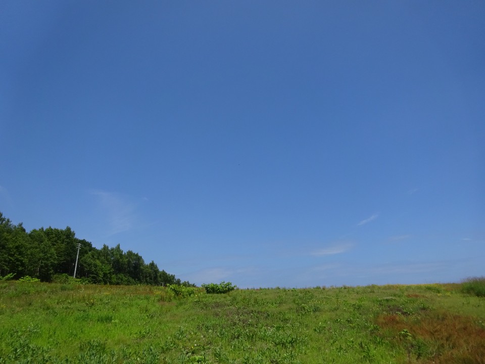 途中の景色です。