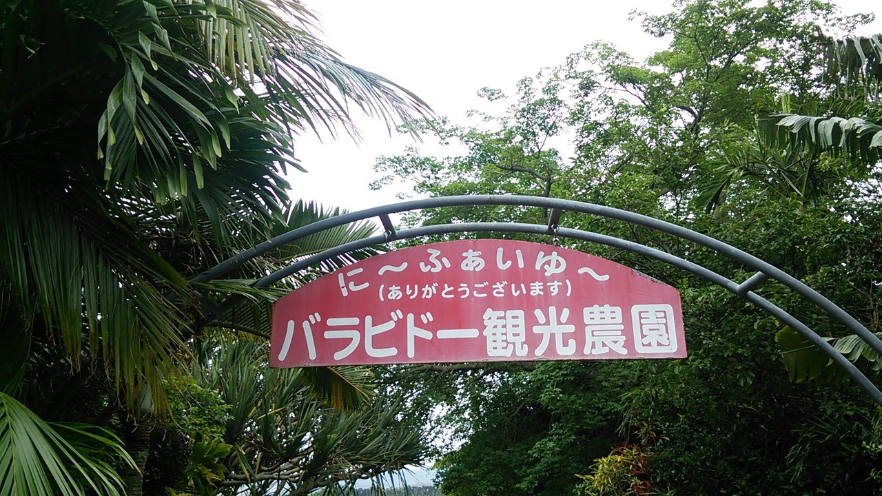 めんそーれ
