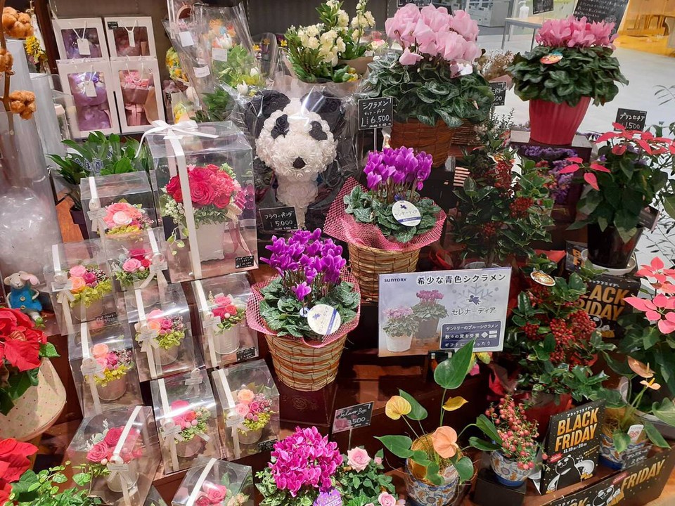 パッと目を引くお花たち
