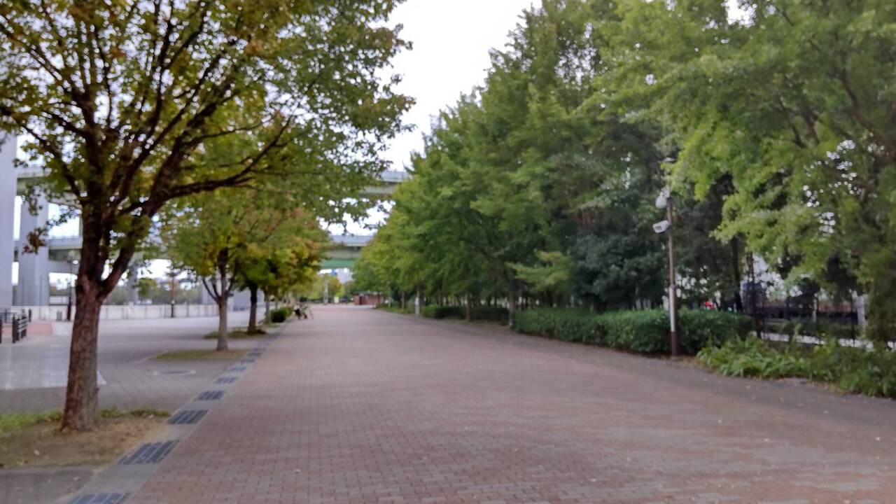 神戸震災復興記念公園
