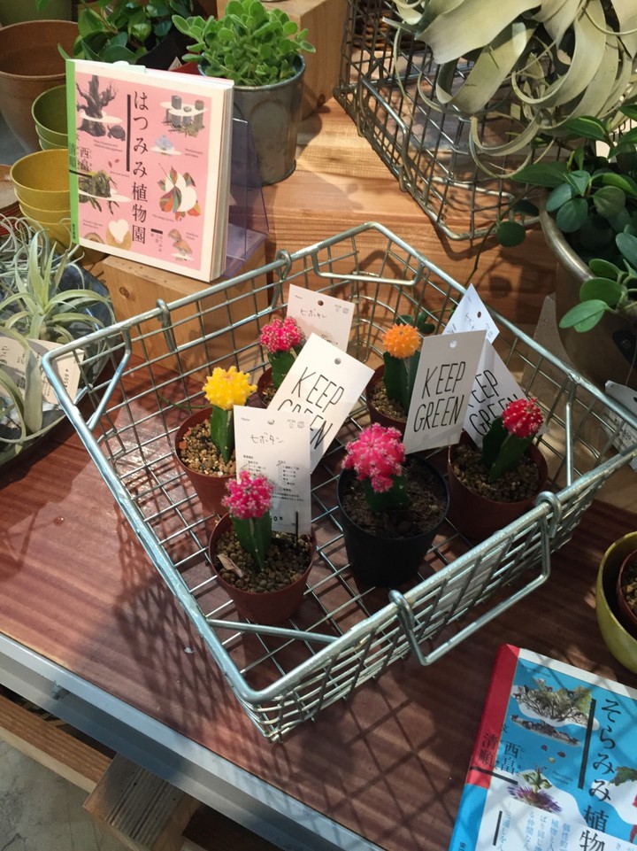 トゥデイズスペシャル自由が丘店の内観画像。