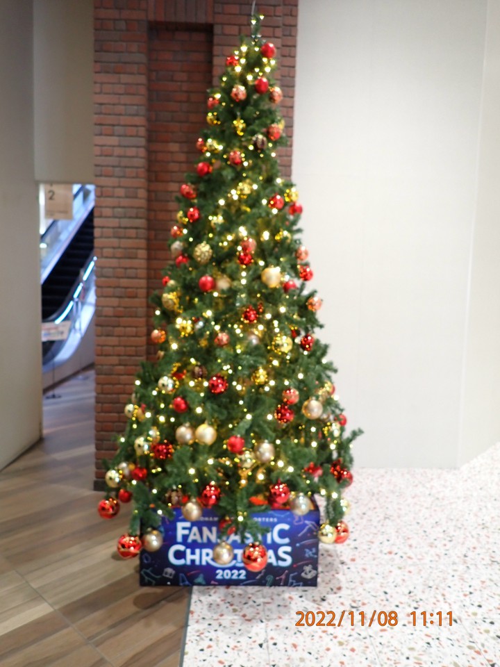 こんな所にもクリスマスツリーが