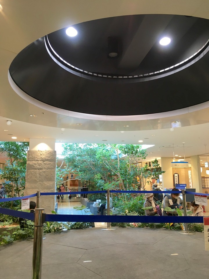 最上階の緑化された空間