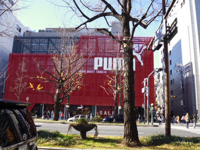 big shop