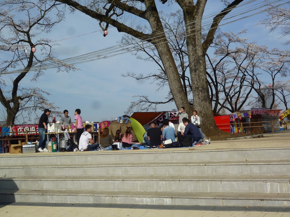 富士森公園の桜 家族連れが楽しんでいます