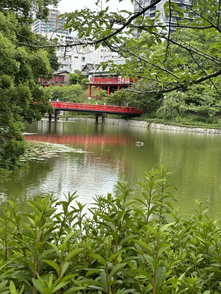 慶沢園。