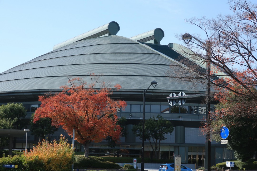 大きな建物だ
