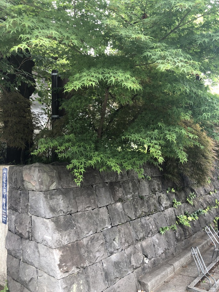 整然と並べられた石（市ヶ谷門の石垣）