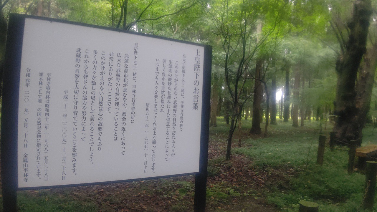  国指定の雑木林