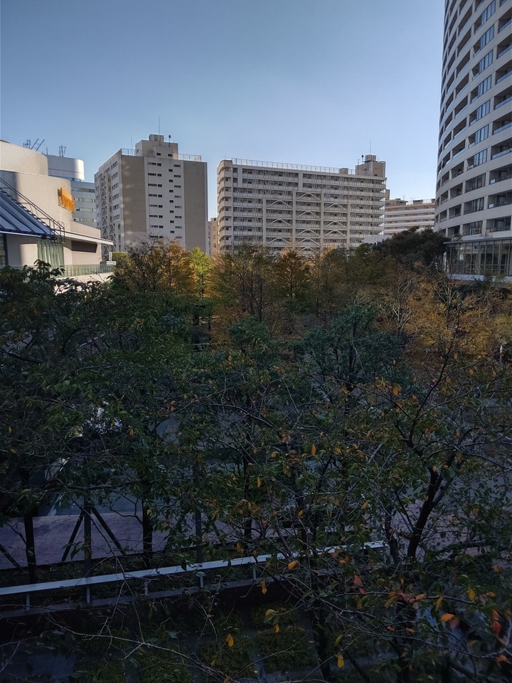 杜の公園