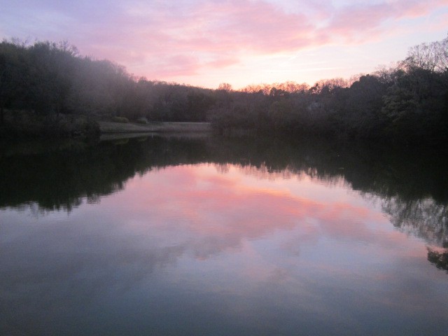 夕刻の明徳池の様子