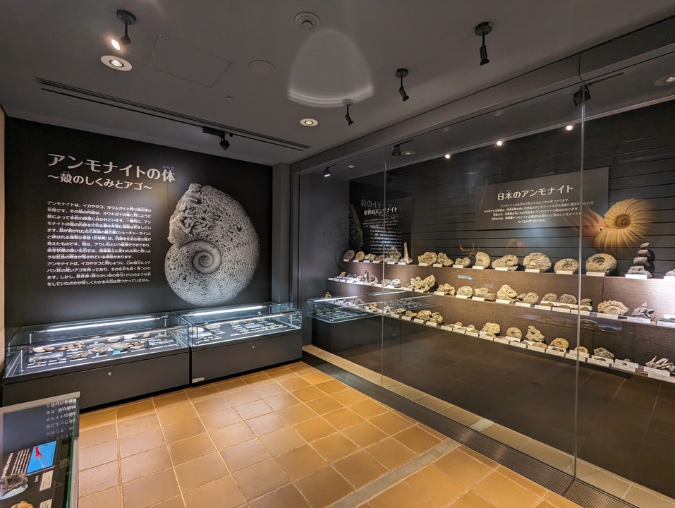 Exhibits