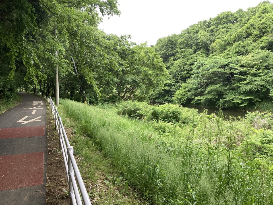 カーブはスリップ防止赤舗装あり